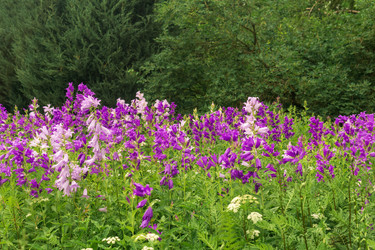 Similar image 21937115