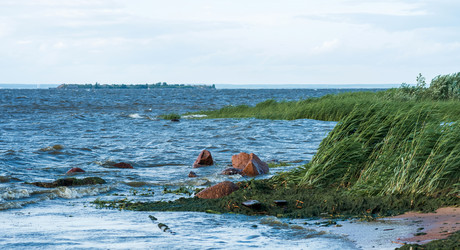 Similar image 21937129