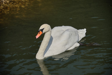 Similar image 21934865