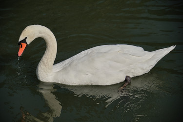 Similar image 21934868