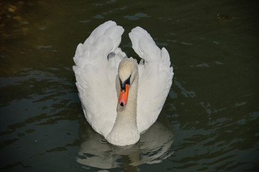 Similar image 21934871