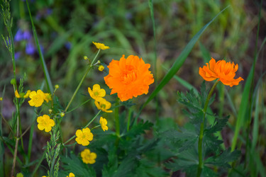 Similar image 21934876