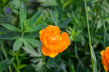 Similar image 21934877