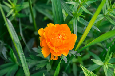 Similar image 21934878