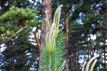 Similar image 21934879