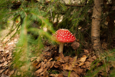 Similar image 21938698