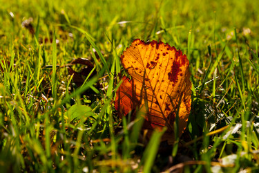 Similar image 21938706