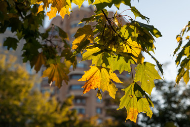 Similar image 21938707