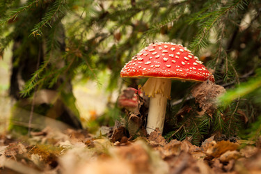 Similar image 21938708