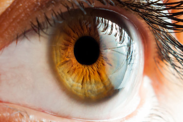 Similar image 21938715