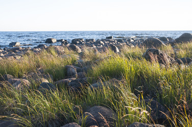 Similar image 21938718