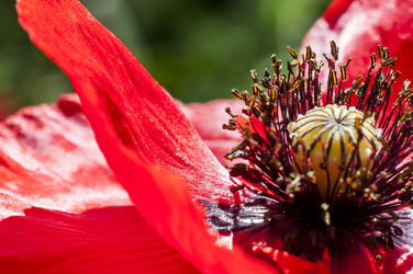 Similar image 21938720