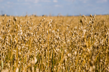 Similar image 21938914