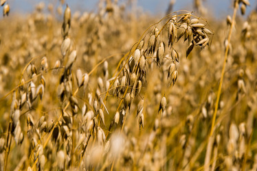 Similar image 21938916