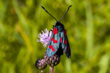 Similar image 21938918