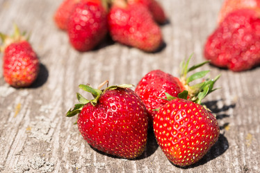 Similar image 21938922