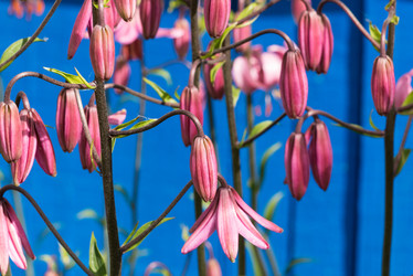 Similar image 21938924