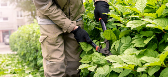 Similar image 21936070