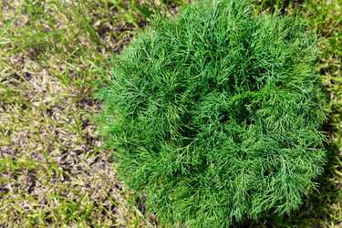 Similar image 21936071