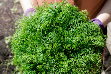 Similar image 21936072