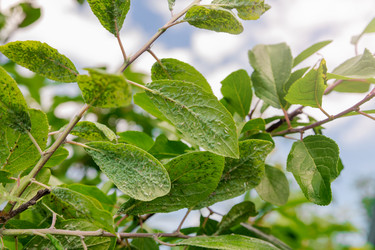 Similar image 21936073