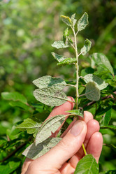 Similar image 21936074