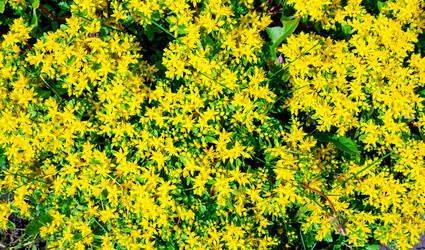 Similar image 21936075