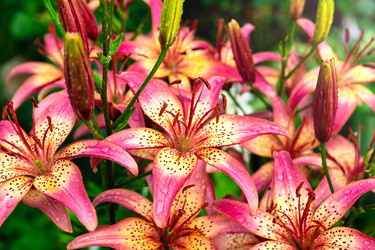 Similar image 21936076