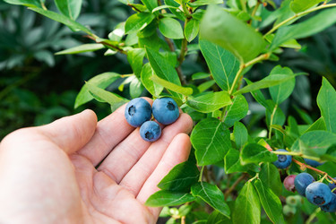 Similar image 21936077