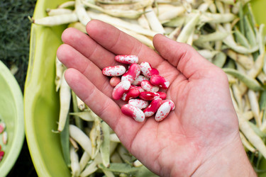 Similar image 21936078