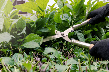 Similar image 21936079