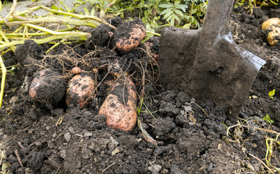 Similar image 21936081