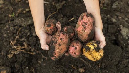 Similar image 21936082