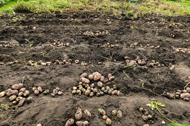 Similar image 21936084