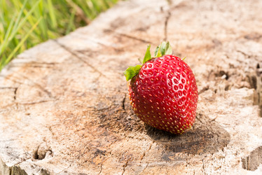 Similar image 21938724