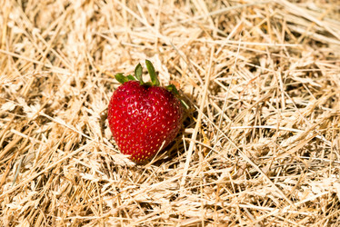 Similar image 21938726