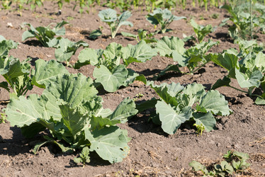 Similar image 21938729