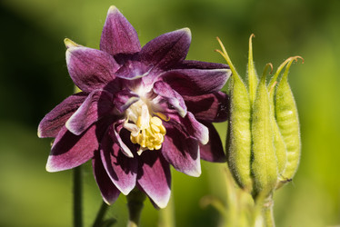 Similar image 21938733