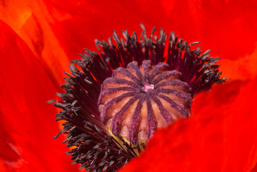 Similar image 21938734