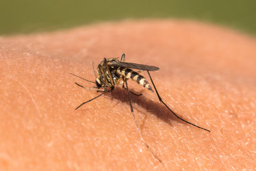 Similar image 21938735