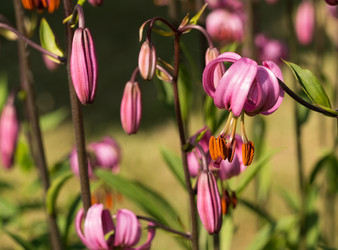 Similar image 21938737