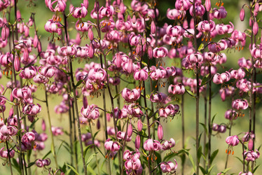 Similar image 21938738