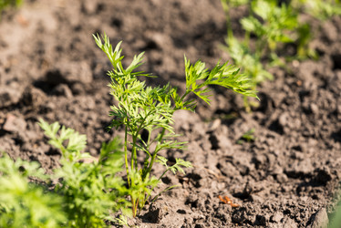 Similar image 21938739