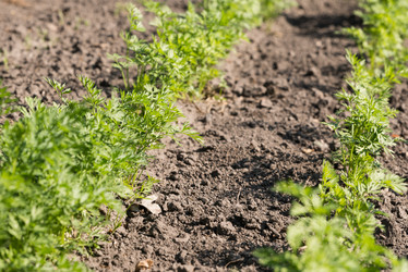 Similar image 21938740