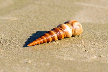 Similar image 21938745