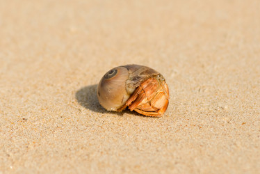 Similar image 21938927