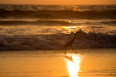 Similar image 21938929