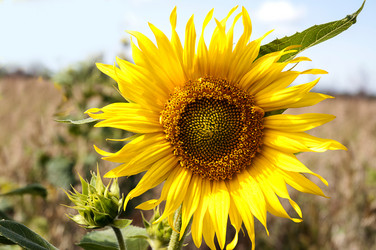 Similar image 21938938