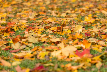 Similar image 21938611