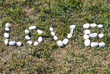 Similar image 21938969